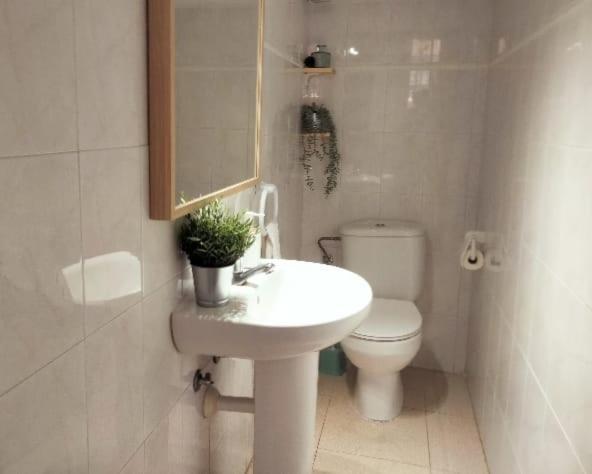 Готель La Casita Арона Екстер'єр фото